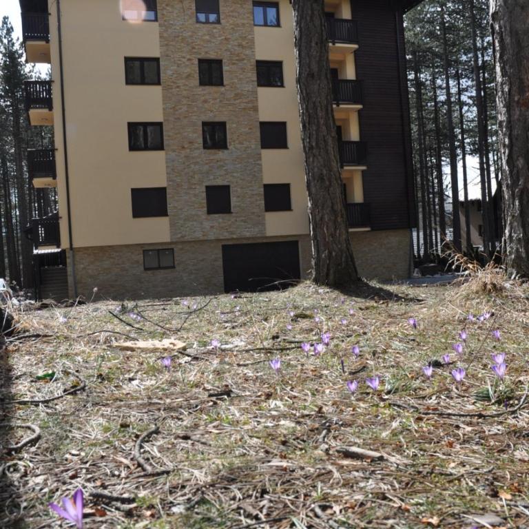 Apartment Kiki - Apartman - 1