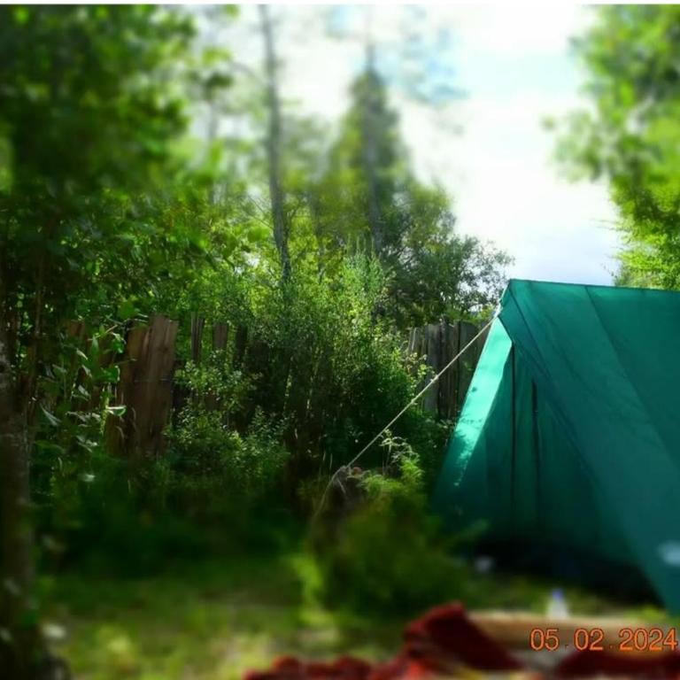 Refugio Holístico Flora Boreal - Tent - 1