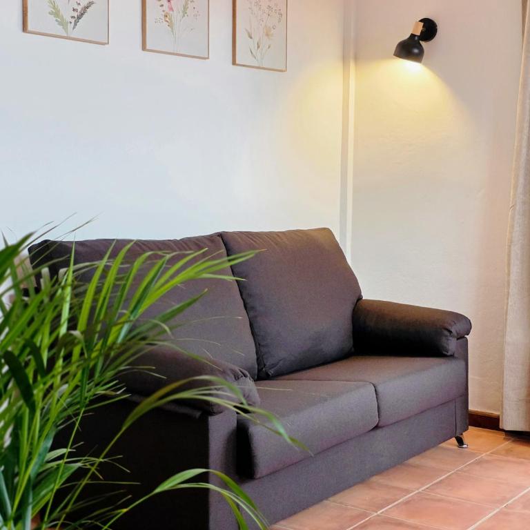 Hotel Ecolife Tenerife - Suite con terraza - 11