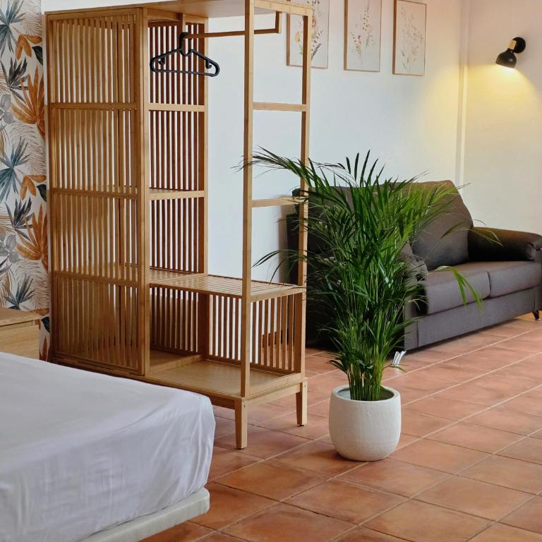 Hotel Ecolife Tenerife - Suite con terraza - 13