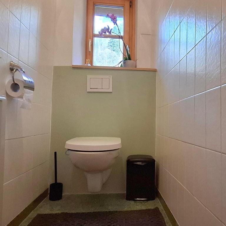 Conny's Lodge - Apartamento de 1 dormitorio con ducha - 26
