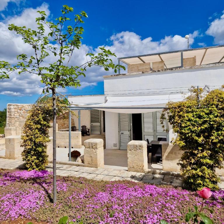 Masseria Poesia - Appartamento Bilocale - 3