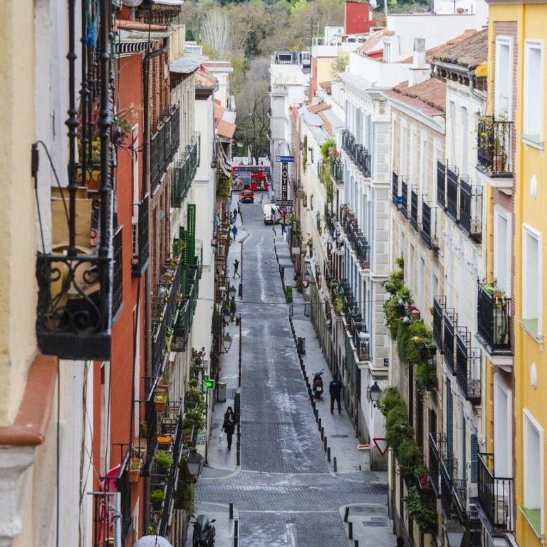 Bright Spacious 2BD 2BTH - Las Letras - Apartment - 37