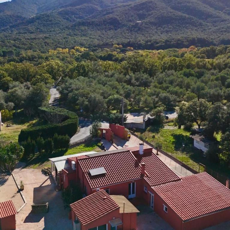 Villa Mas Al Raparou - Villa - 1