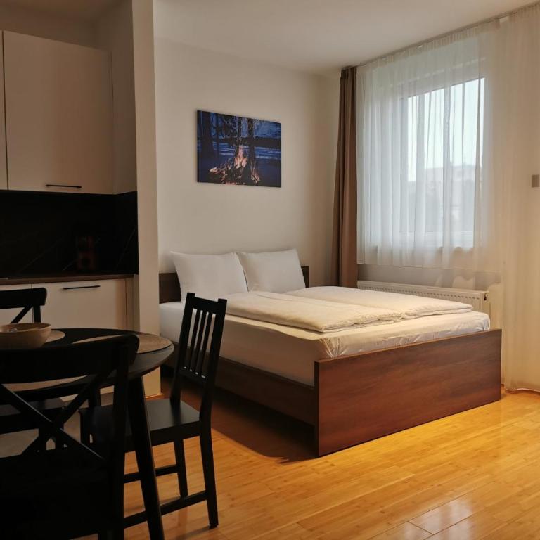 TESLA Residence Subotica - Studio - 9