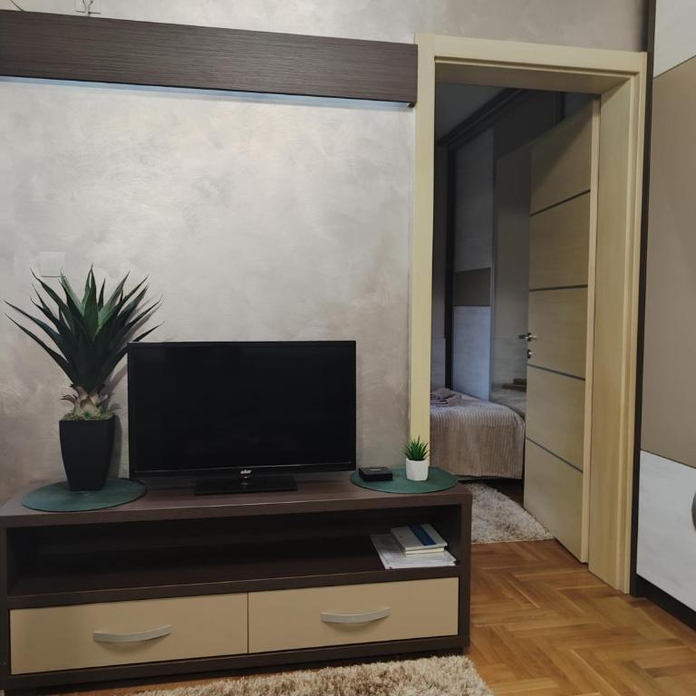 Apartman Stefan Vrnjacka Banja-centar,besplatan parking,wi-fi - Apartman sa 1 Spavaćom Sobom - 6