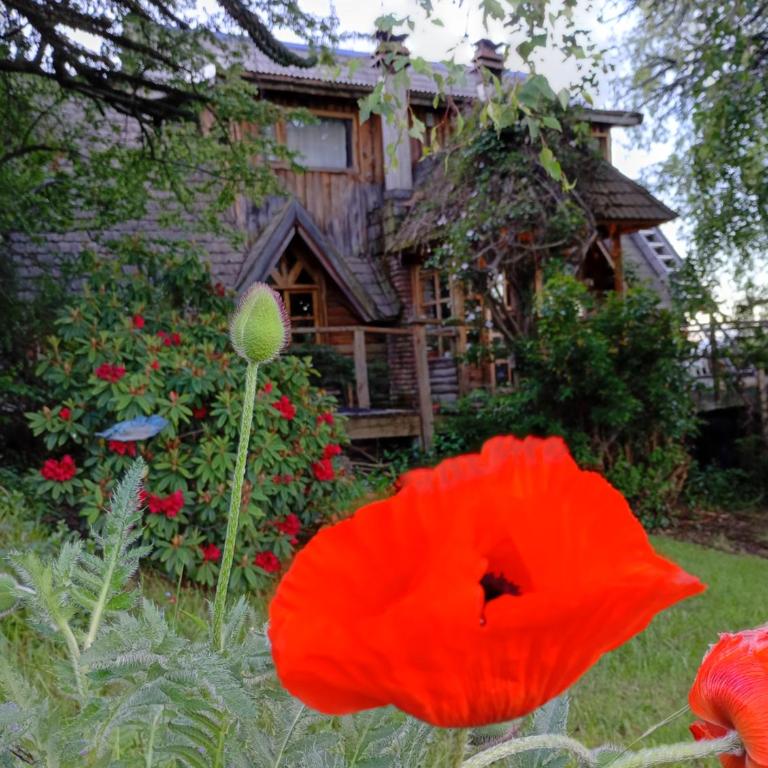 Casa Patagónica con Vista al Lago y Jardín Ideal Familias en Bariloche - Casa de 3 dormitorios - 6