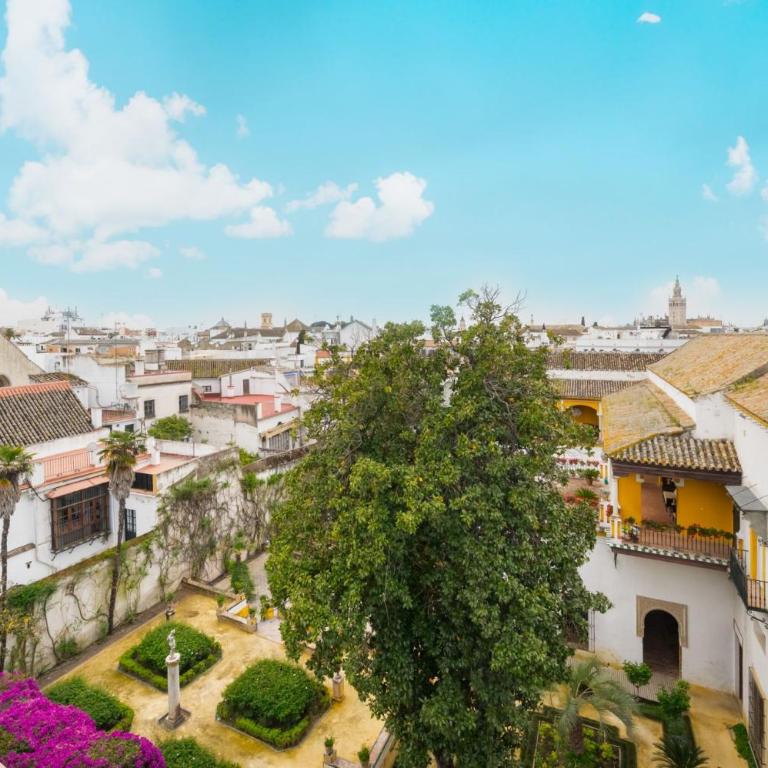 Luxurious studio located in Casa Pilatos - Apartamento Estudio - 39