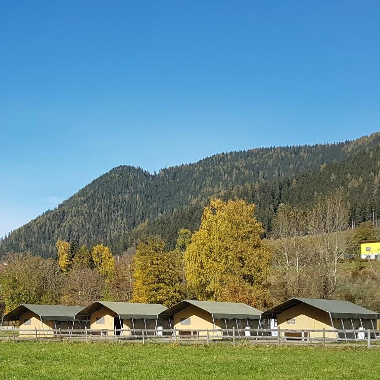 Parc Sonnleiten - Safaritent - Ferienhaus - 1