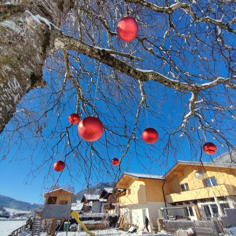 HausTipTop - Chalet Superior - 5