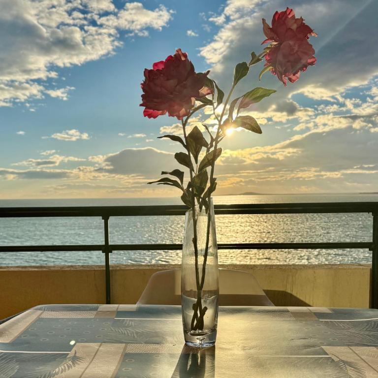 T3 de 65 m² avec accès direct à la plage - Appartement - Vue sur Mer - 11
