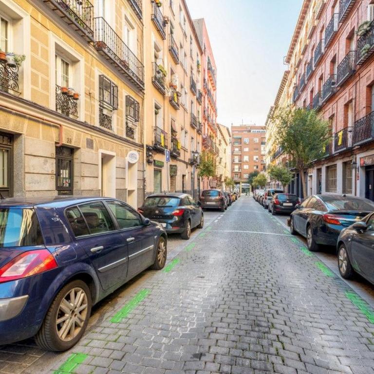 Modern and Bright -2 Bedrooms 1 Bathroom-Lavapies - Two-Bedroom Apartment - 23