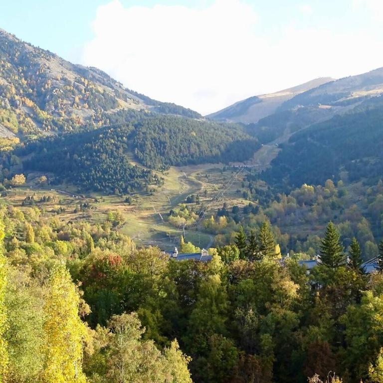 Apartamento en Cerler con vistas. Edif Aigualluts - Two-Bedroom Apartment - 20