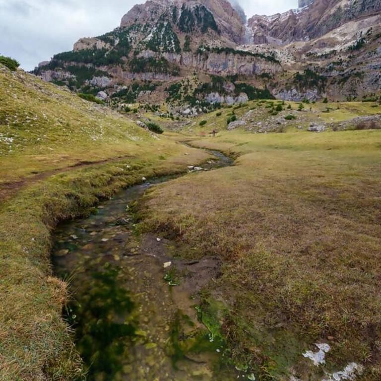 IMROF - Mountain Lodge - Appartement 1 Chambre - 19