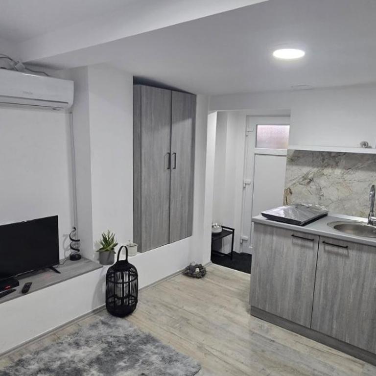 Slavuj MINI - One-Bedroom Apartment - 10
