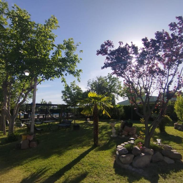 CABAÑAS RUCALAF - Casa - 6