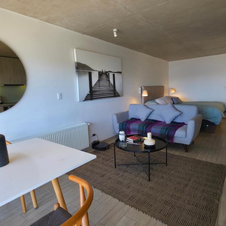 Oceana Suites Mirador Baron - One-Bedroom Apartment with Sea View and Balcony - 12