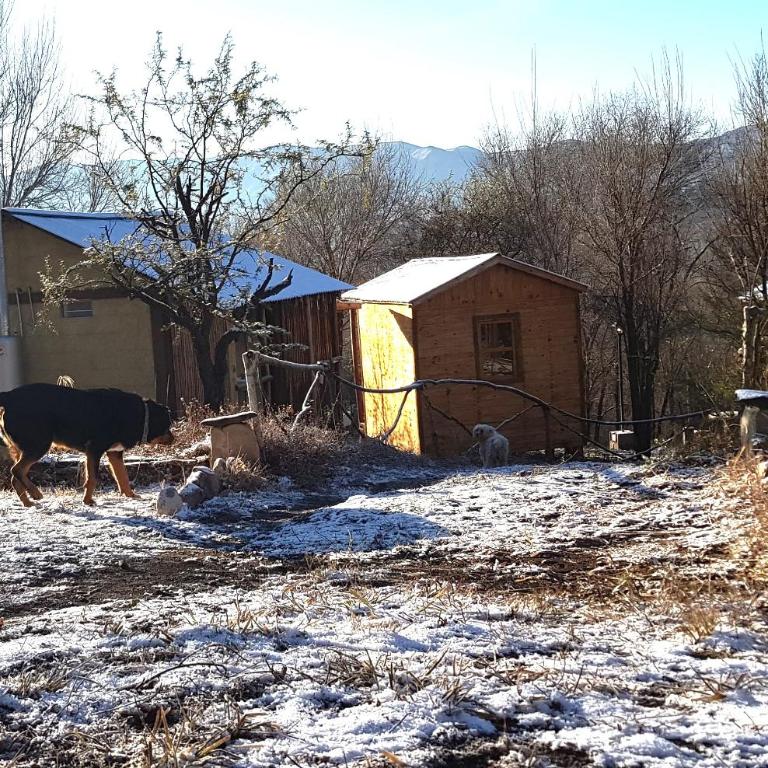 Casita de Montaña - Bungalow Estándar - 12