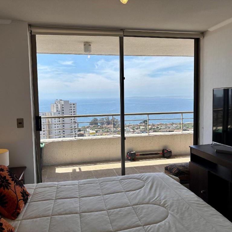 Beautiful view towards the sea and Concón - Apartment - 5