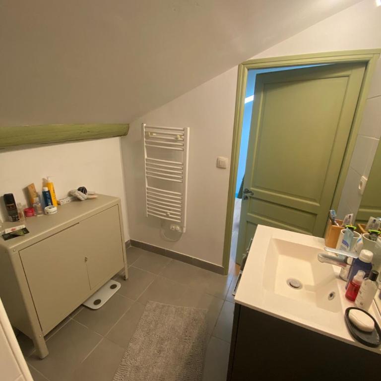Appartement de caractère centre ancien Arles - Appartamento con 1 Camera da Letto - 19