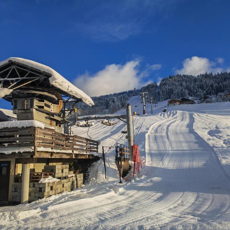 Appartement ski aux pieds & piscine - Flumet - Apartamento de 1 dormitorio - 5