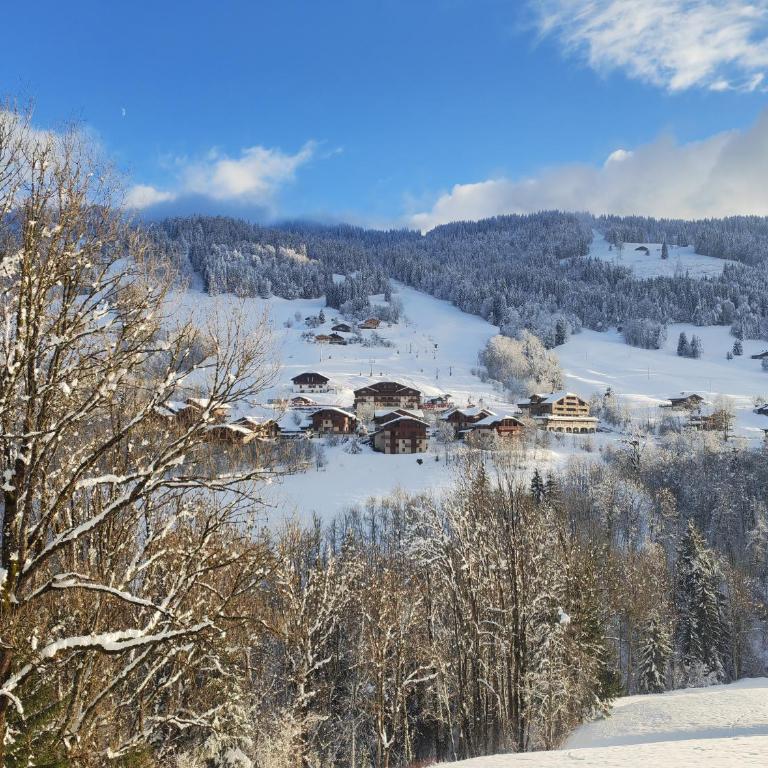 Appartement ski aux pieds & piscine - Flumet - Apartamento de 1 dormitorio - 23