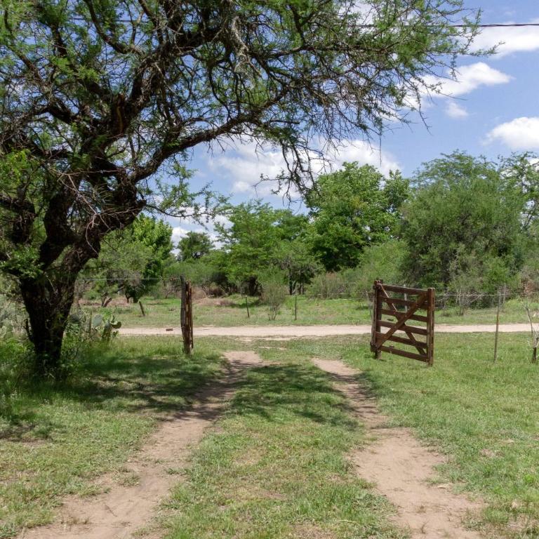 Las Martinetas - Casa con 1 dormitorio - 37