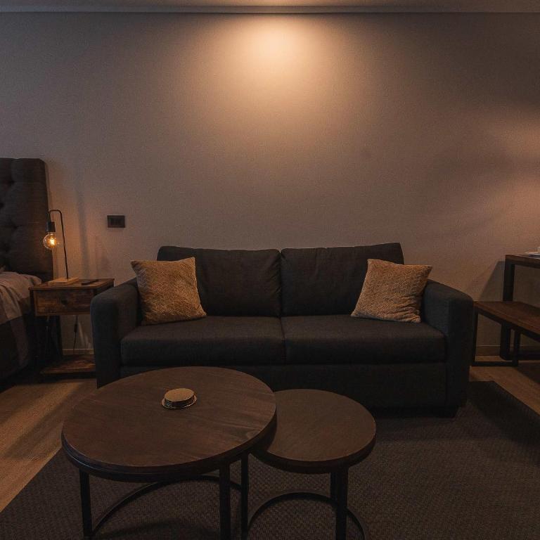 HOM I Las Condes Confort Exclusivo Studio - Apartamento - 54