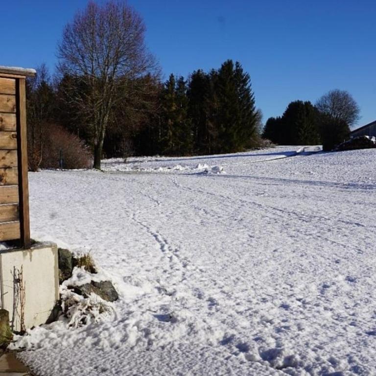 Ferienhaus Nr 109, Kategorie Komfort, Feriendorf Hochbergle, Allgäu - Ferienhaus - 11