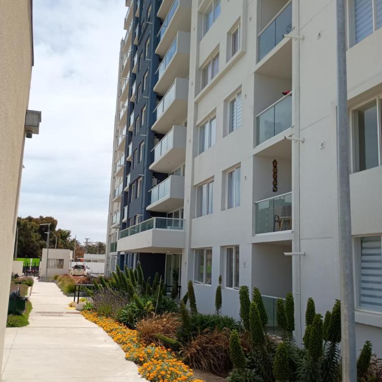 HOM l CoWork Mar Serena Pacific Faro - Apartment - 78