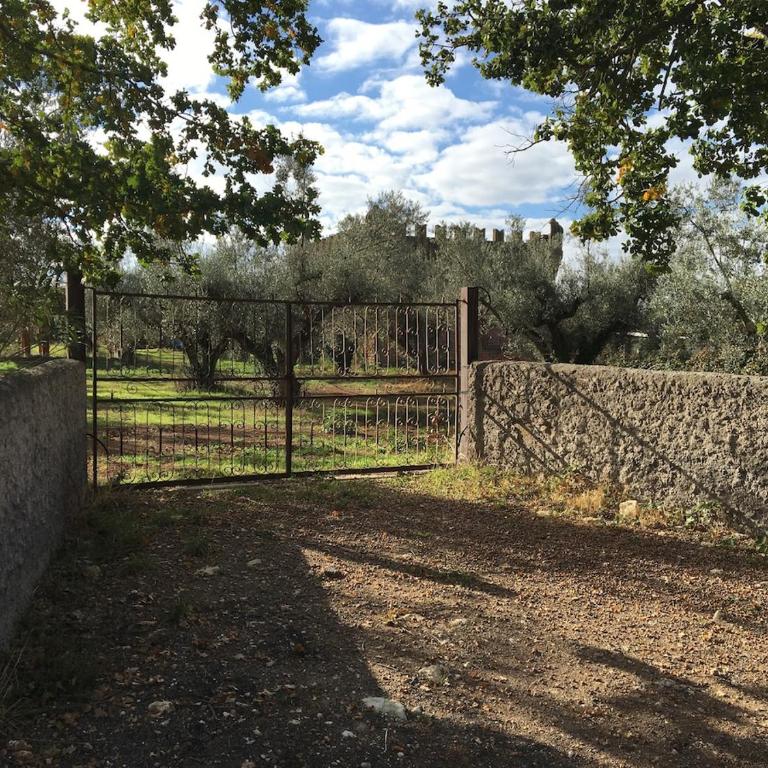 I Merli - Villa con Piscina Privata - 2