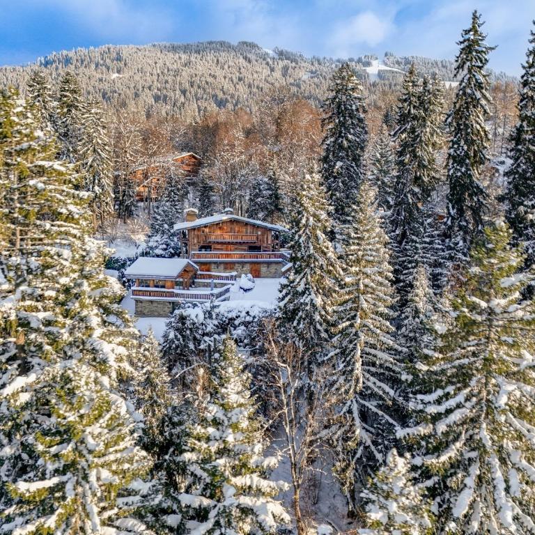 Chalet Ysalpe - Vue montagne hammam sauna jacuzzi et salle cinéma - Chalet - 2