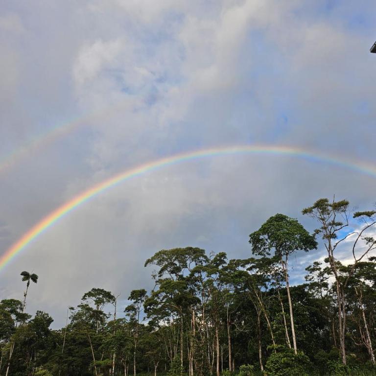 Carpe Diem Palora - Apartamento de 1 dormitorio - 13