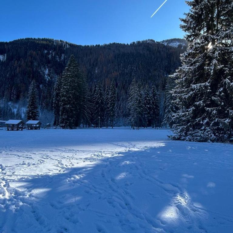 Rifugio Kristine - Appartamento con 1 Camera da Letto - 16