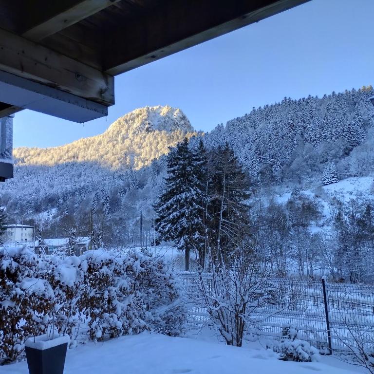 Apartement A1 le Mont dore 63240 - Appartement 1 Chambre - 27
