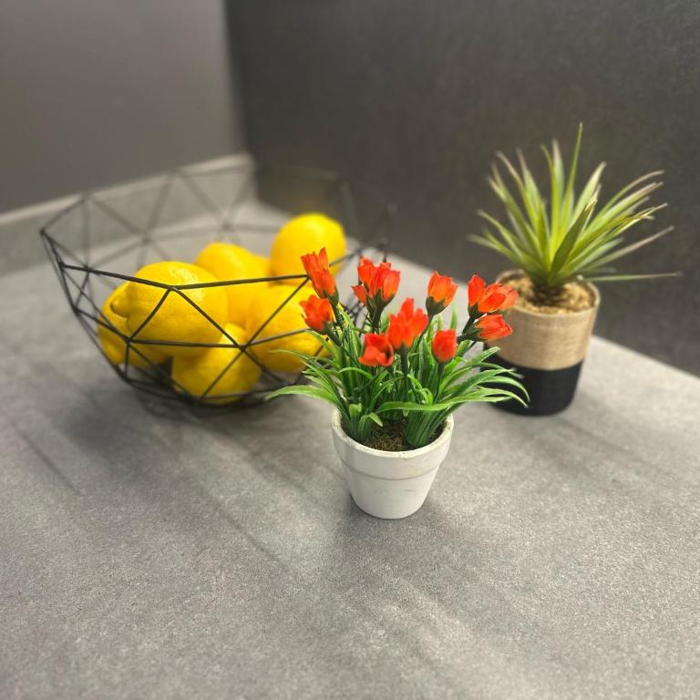 3 Bedroom Cozy Apartment In Joan Austria - Three-Bedroom Apartment - 15