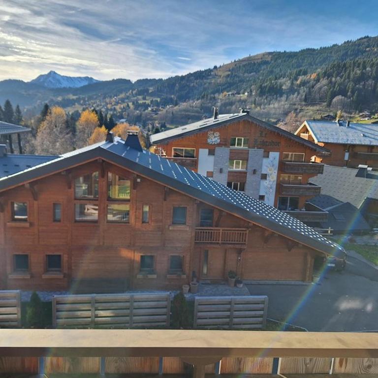 T2 agréable avec cheminée, balcon et parking aux Gets - FR-1-573-145 - Appartamento - 12