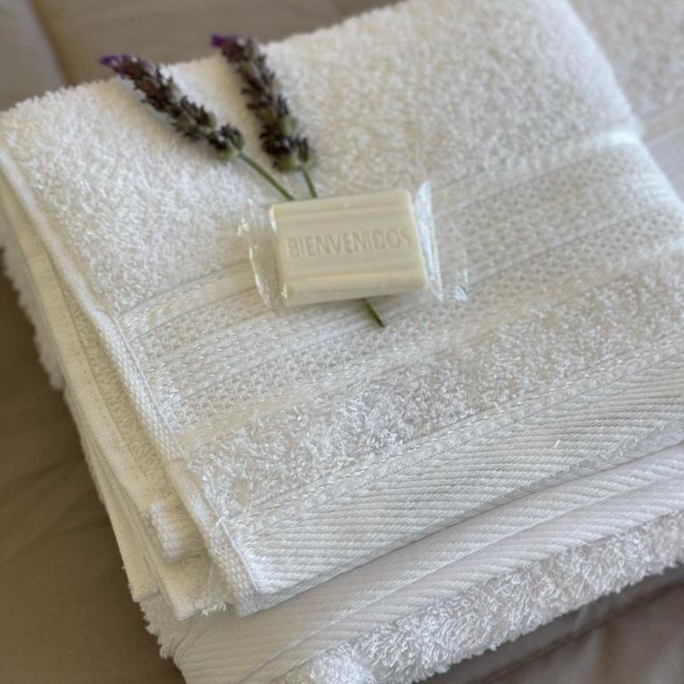 Amanece en Carlos Paz - Apartamento de 2 dormitorios - 12