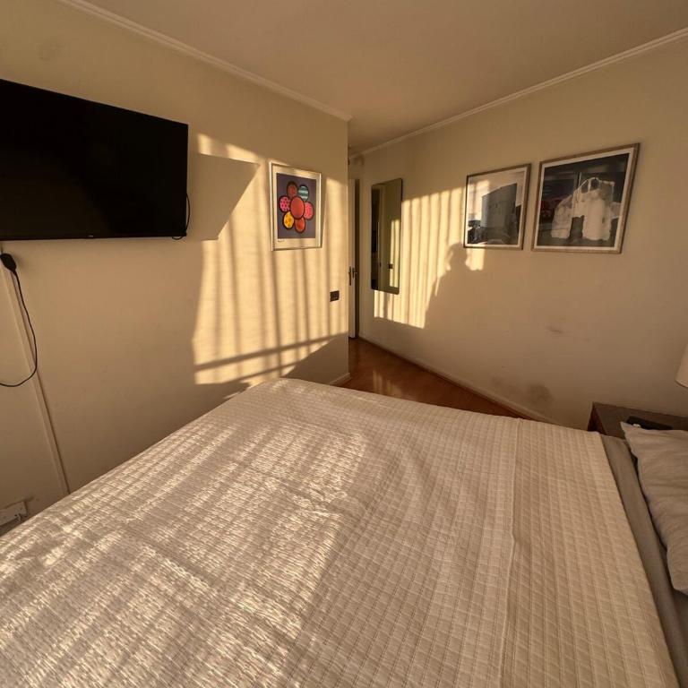 Two room apartment MUT Costanera Center Tobalaba - One-Bedroom Apartment - 13