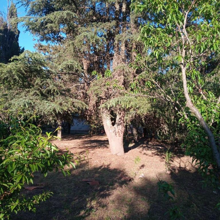 Casa Aleluna - Two-Bedroom Chalet - 3