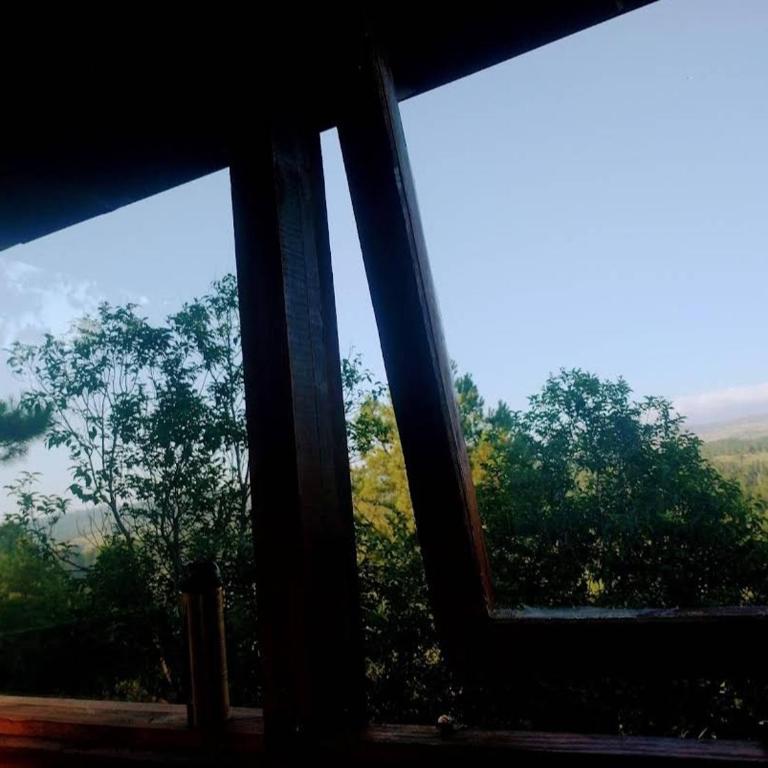 Cabañas la escondida - Casa de 2 dormitorios - 1