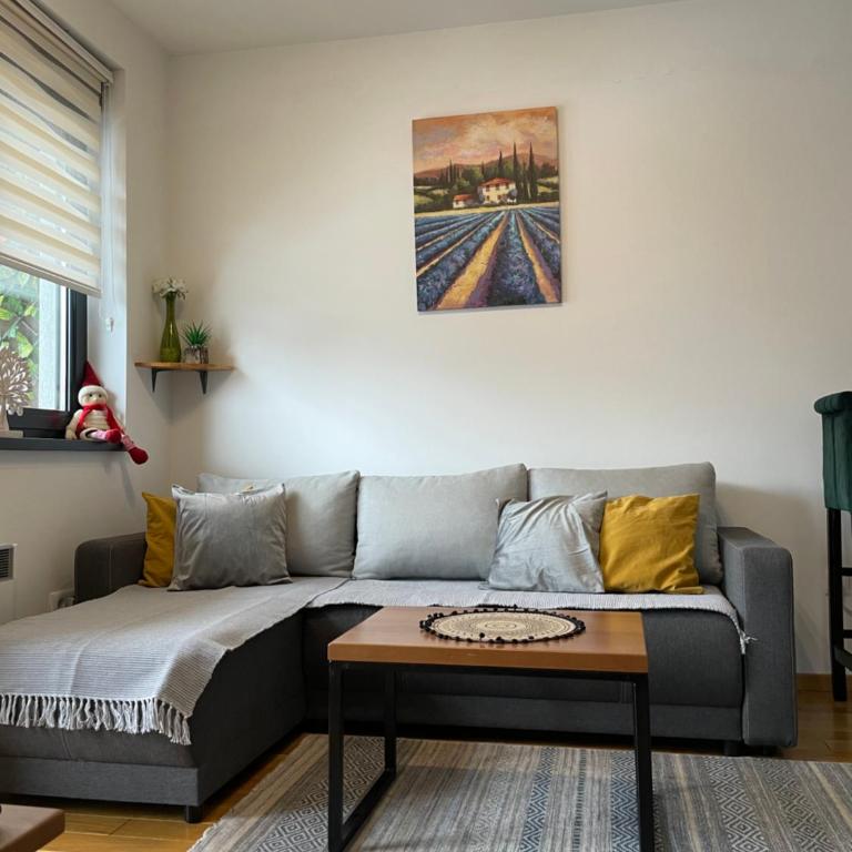 Zlatni Bor Apartment - Apartman sa 1 Spavaćom Sobom - 5