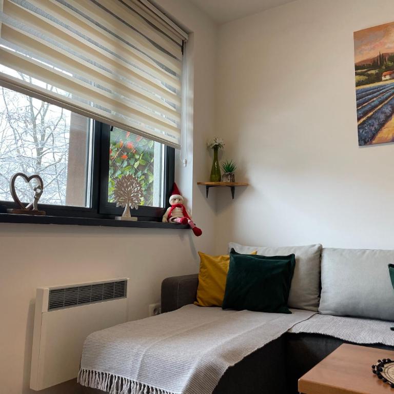 Zlatni Bor Apartment - Apartman sa 1 Spavaćom Sobom - 4