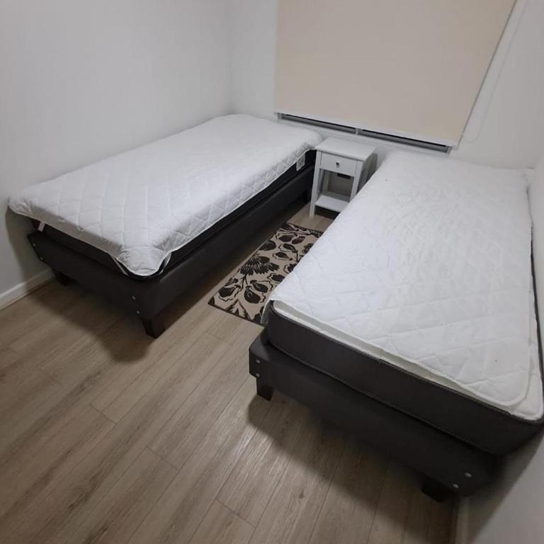 Bosque y mar de Papudo - Three-Bedroom Apartment - 5