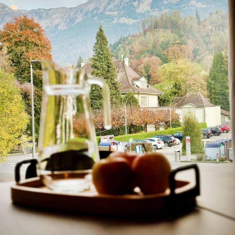 Mountain View Luxury Apartment at Interlaken West Station with Balcony, AC and BBQ - Apartment - 12