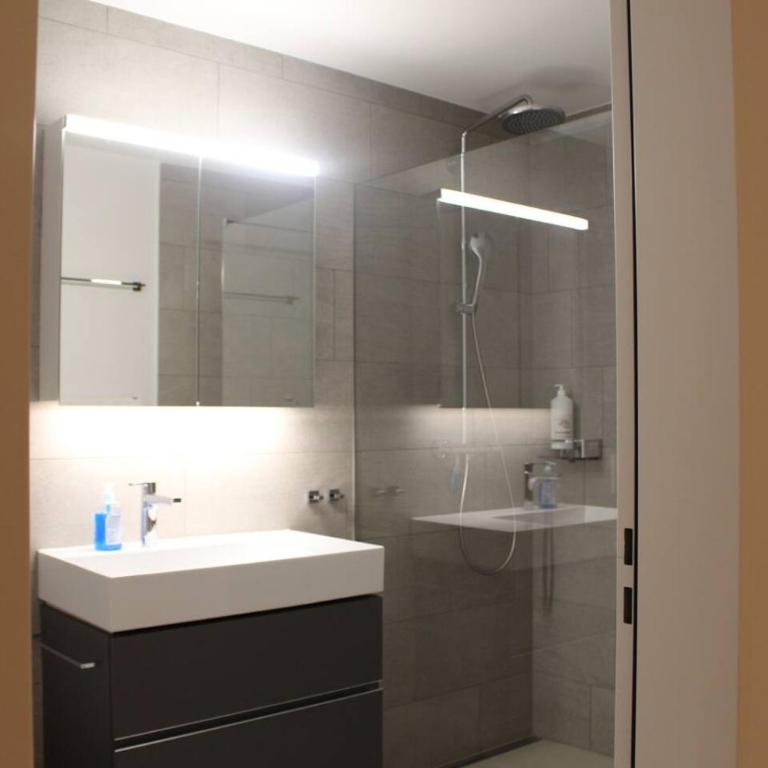 Mountain View Luxury Apartment at Interlaken West Station with Balcony, AC and BBQ - Apartment - 55