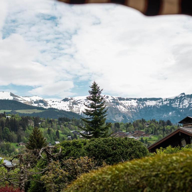 Flat La Loge - At the foot of the Jaillet in Megève - Appartement - 24