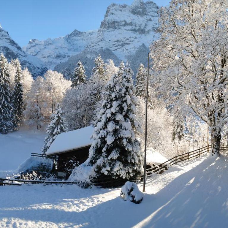 Naturfreunde Hostel Grindelwald - Zweibettzimmer mit Gemeinschaftsbad - 6