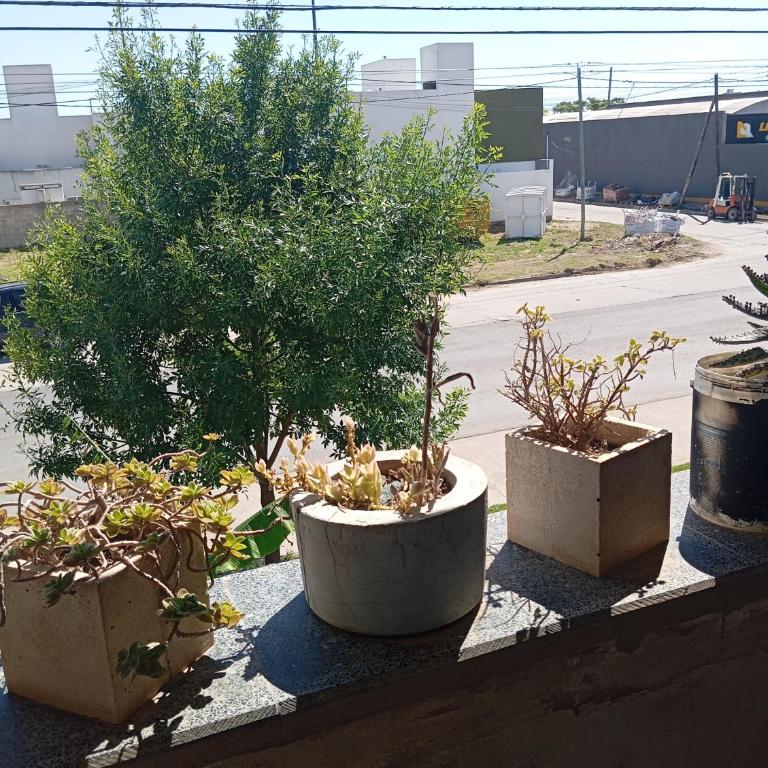 Seppey - Apartamento de 1 dormitorio - 5