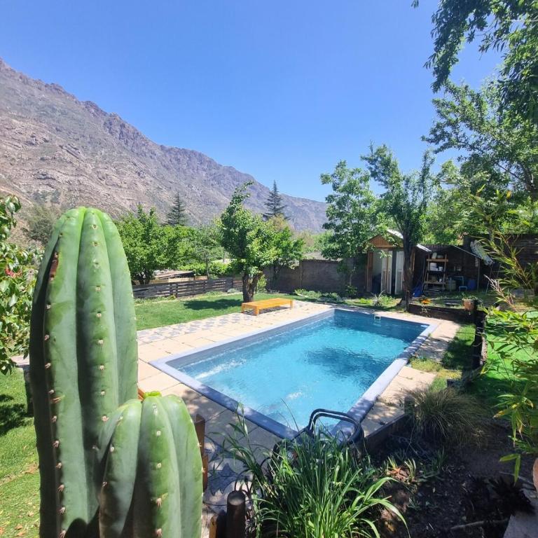 Cabañas Carolín Cacao Castaño - Apartamento de 1 dormitorio - 4